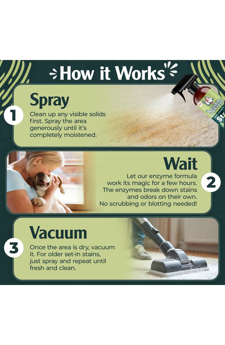 Sprinkle & Sweep 24 oz Pet Stain and Odor Enzyme Spray 2 Pack, Alternate, color, Multicolored