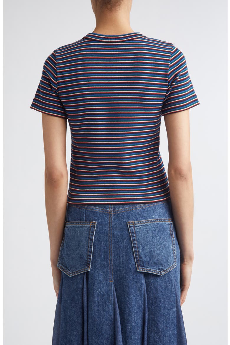 Stripe Rib Cotton T-Shirt, Alternate, color, BLUE