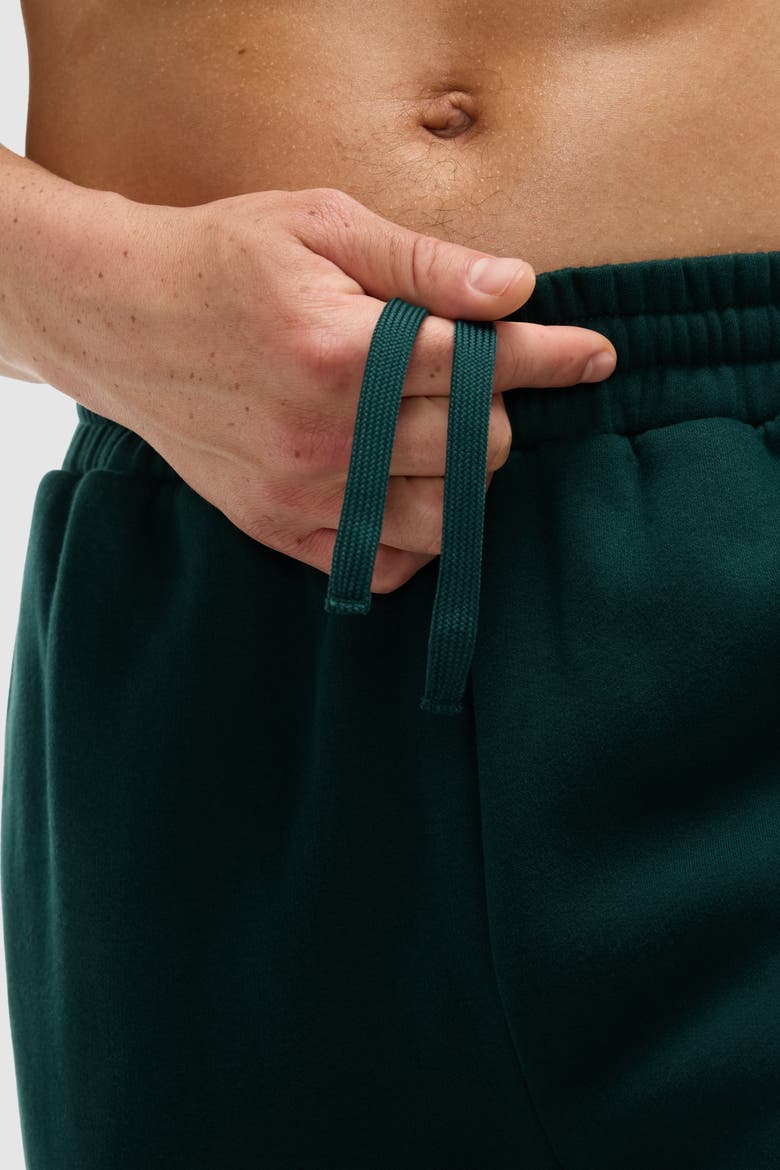 Soft Fleece Sweatpant, Alternate, color, Pine