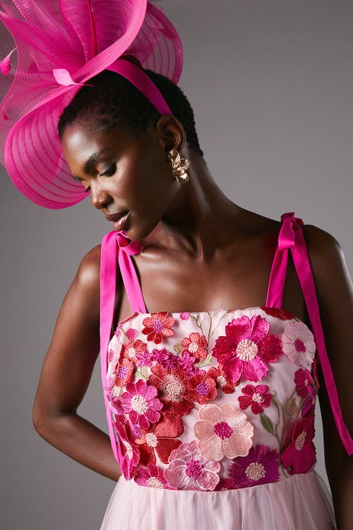 Coast Embroidered Mesh Midi Dress In Pink