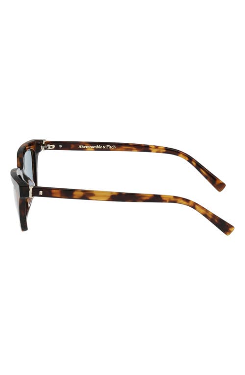 Abercrombie & Fitch 52mm Cat Eye Sunglasses In Black