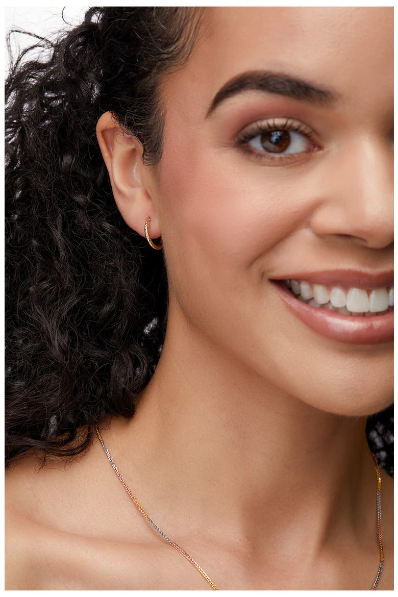 14K Gold Hoop Earrings (Nordstrom Exclusive), Alternate, color, 14KY