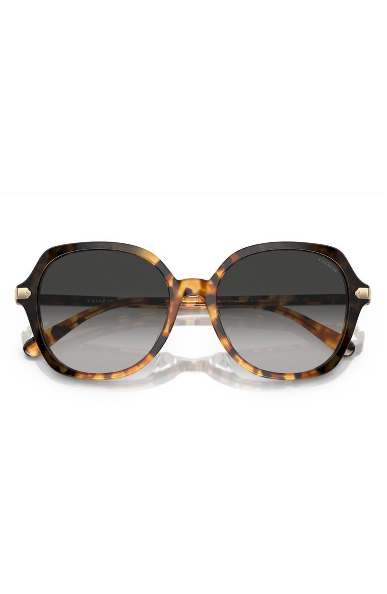 COACH 55mm Gradient Oval Sunglasses, Alternate, color, 