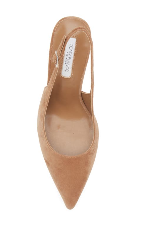 Tony Bianco Asti Slingback Pointed Toe Pump In Brown