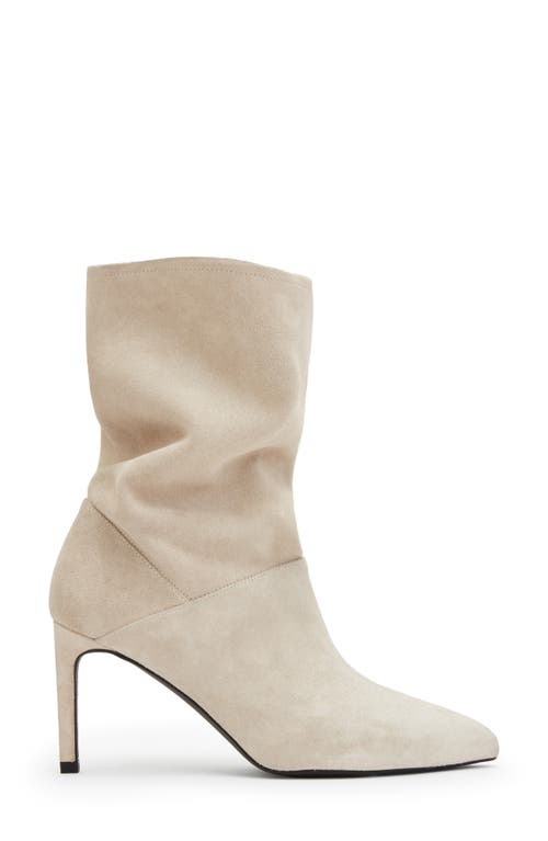 Allsaints Orlana Pointed Toe Boot In Neutral