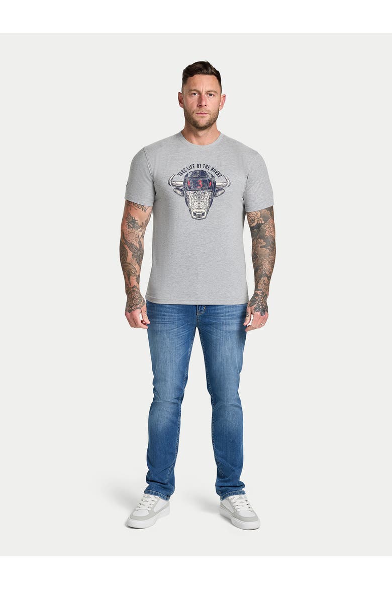 Rugby Bull T-Shirt, Alternate, color, Grey Marl