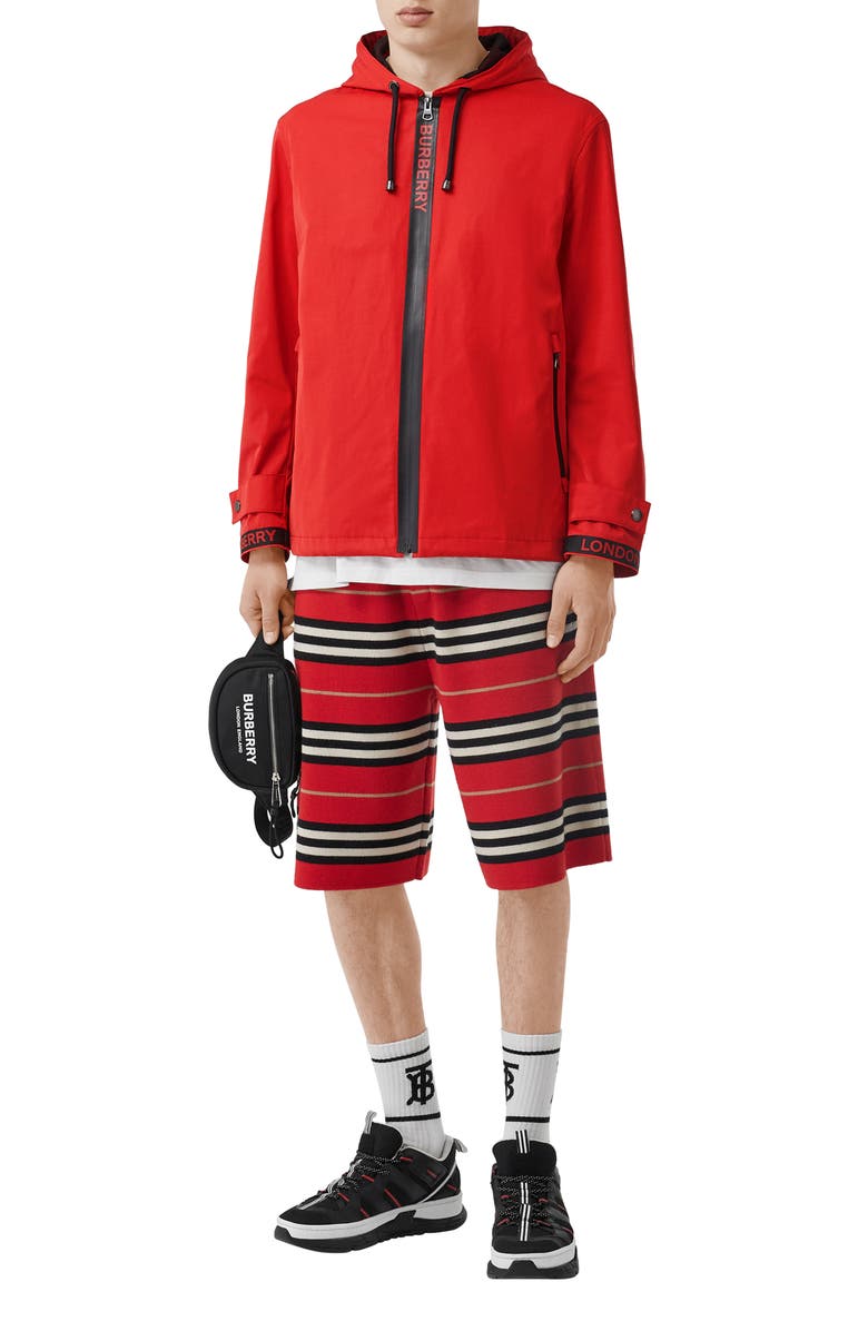 Burberry Everton Hooded Jacket, Alternate, color, 