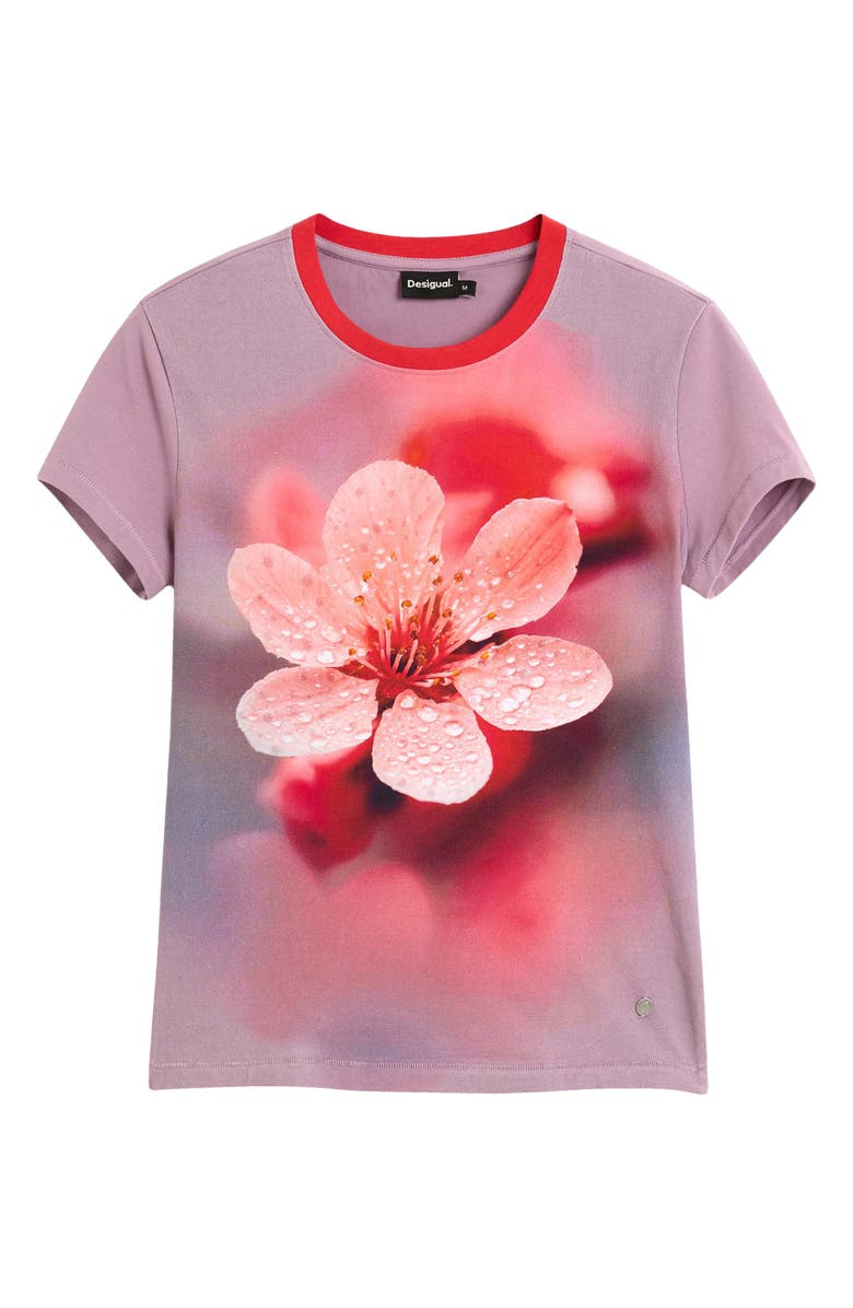 Desigual Floral Graphic T-Shirt, Alternate, color, 