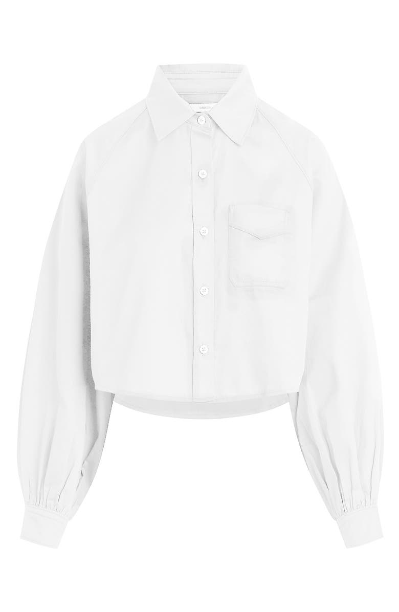 Hudson Jeans Raglan Balloon Sleeve Button-Down Top, Alternate, color, 