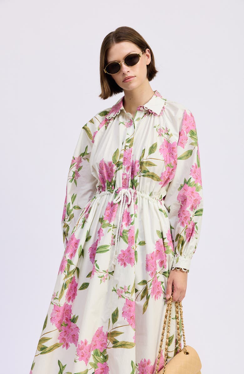 En Saison Esther Long Sleeve Floral Midi Shirtdress, Alternate, color, White Pink Sage