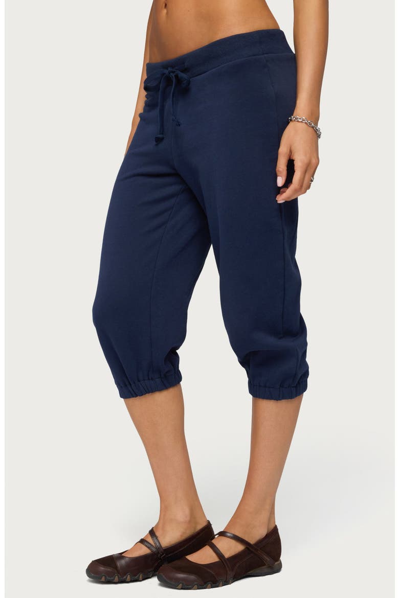 Deana Capri Sweatpants, Alternate, color, NAVY