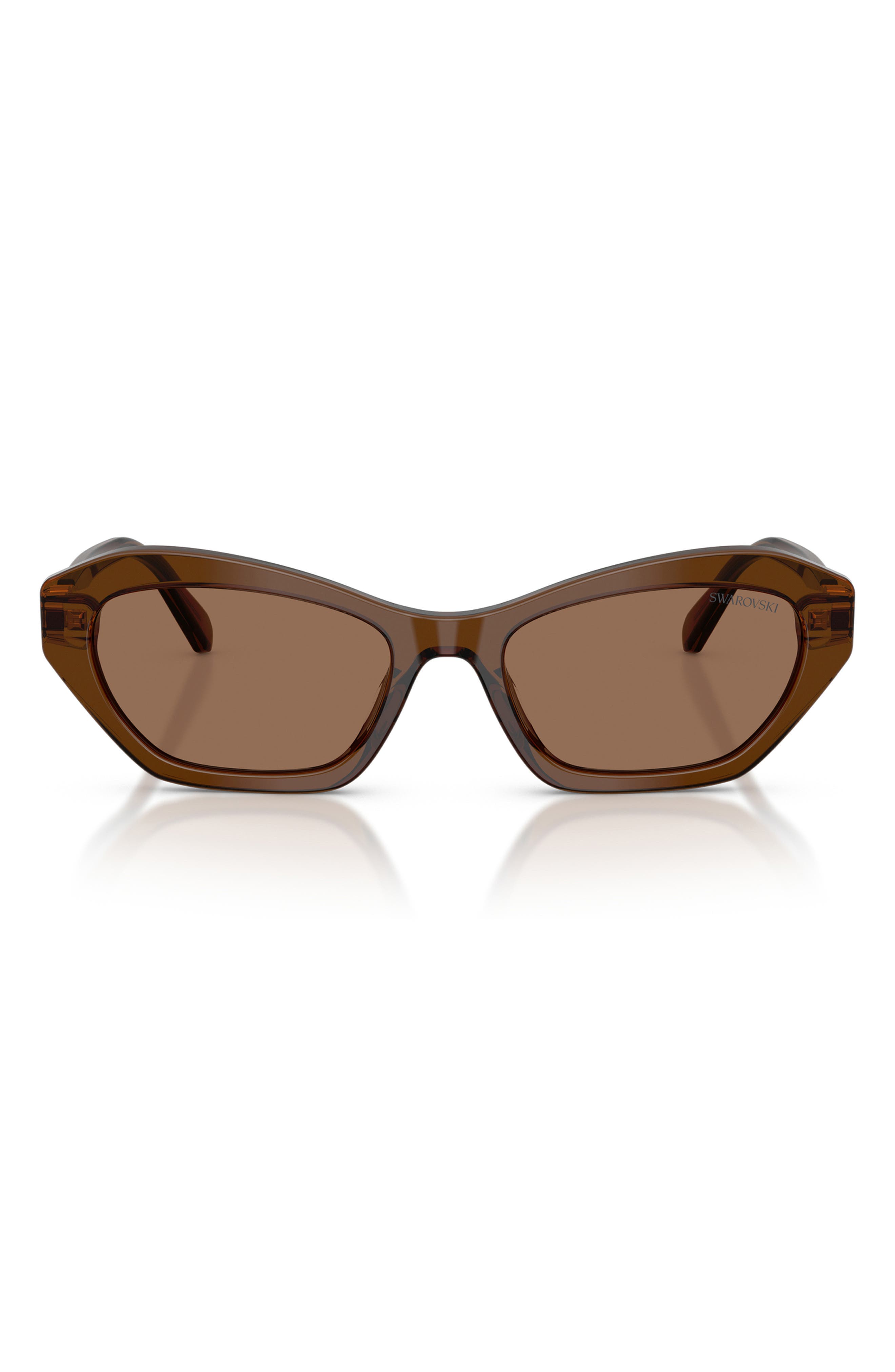 TRANSPARENT BROWN / DARK BROWN