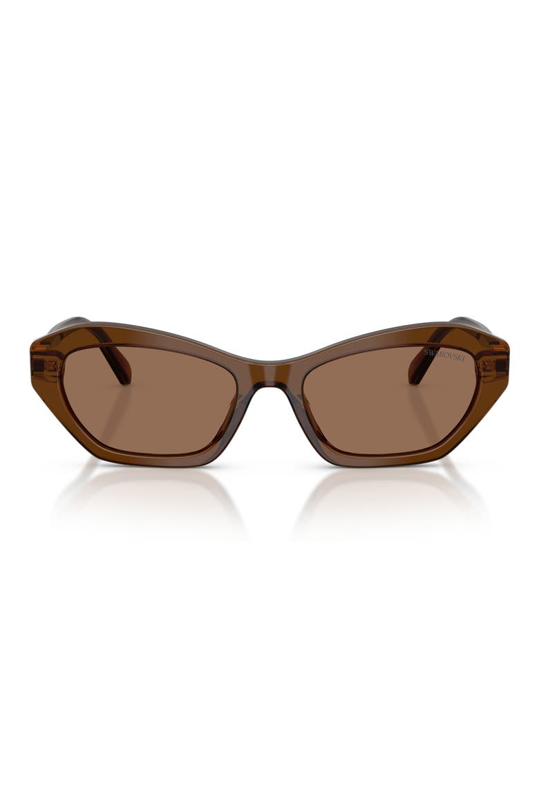 54mm Cat Eye Sunglasses, Main, color, TRANSPARENT BROWN / DARK BROWN