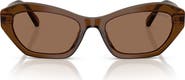 Swarovski 54mm Cat Eye Sunglasses