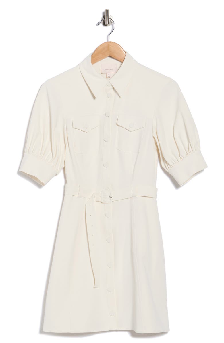 Cinq à Sept Zillah Shirtdress, Alternate, color, Ivory