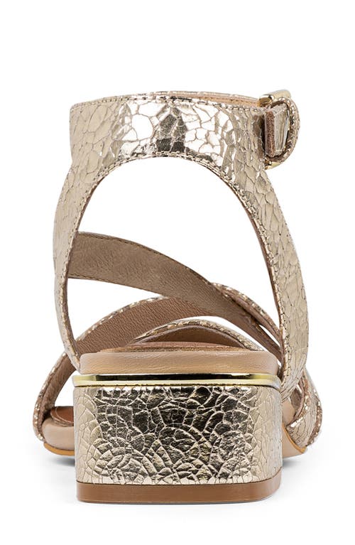 Shop Donald Pliner Frannie Ankle Strap Sandal In Platino