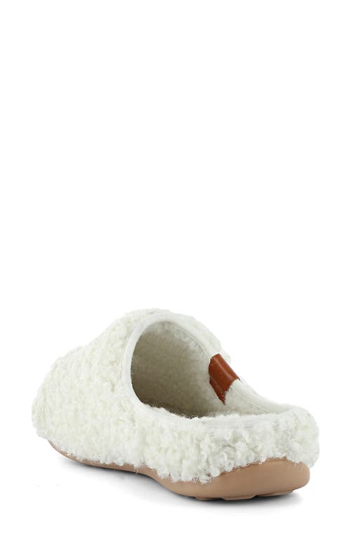 Strive Copenhagen Mule In Multi