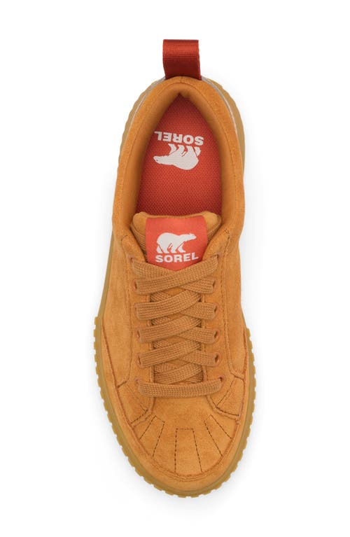 Sorel Ona Ave Waterproof Low Top Sneaker In Canyon Gold/gum