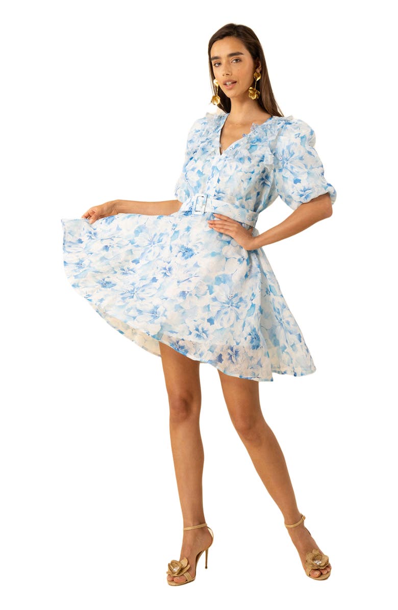 Hale Bob Promise Floral Organza Dress, Alternate, color,