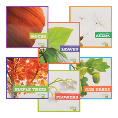 Let's Take a Walk and Explore Nature Books - Set of 6