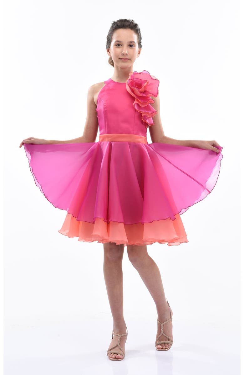 Tulleen Estancia Dress, Main, color, Fuchsia