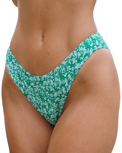 BRIGHT SWIMWEAR GEMMA BOTTOM BRIGHT SWIMWEAR GEMMA BOTTOM