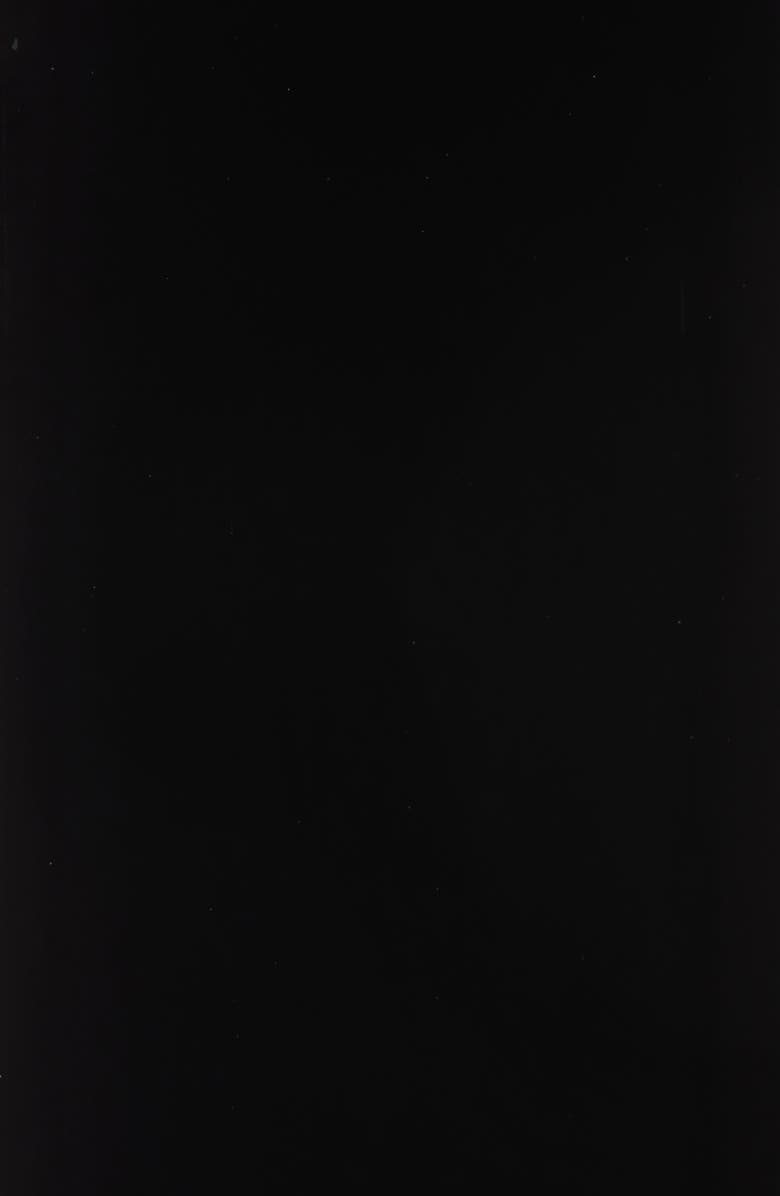 Carolina Herrera '90s Patent Leather Belt, Alternate, color, 