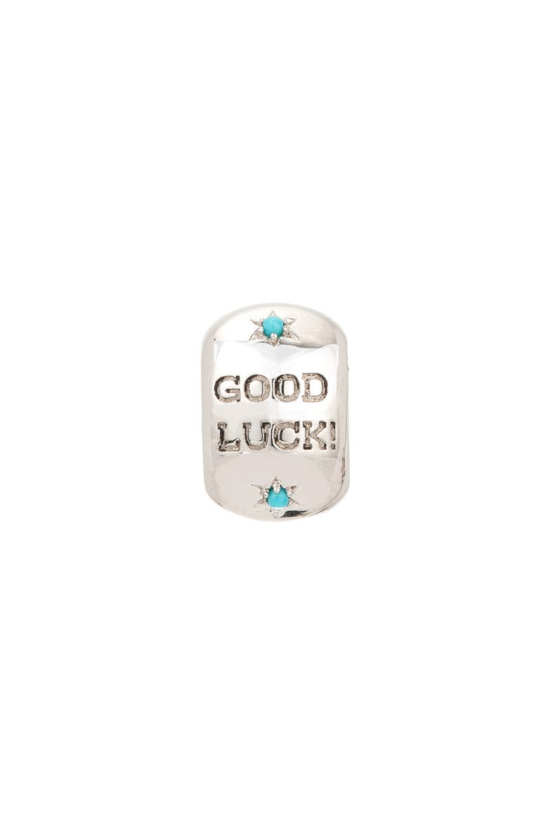 Turquoise & Diamond Horseshoe Lucky Big Bead Charm, Alternate, color, SILVER