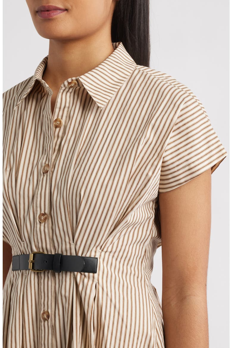Stripe Belted Detail Cotton Shirtdress, Alternate, color, BROWN