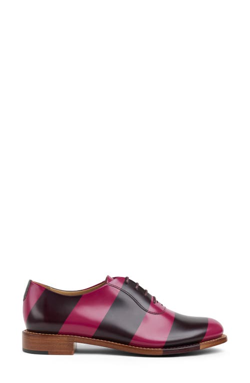 The Office Of Angela Scott Mr. Smith Oxford In Multi