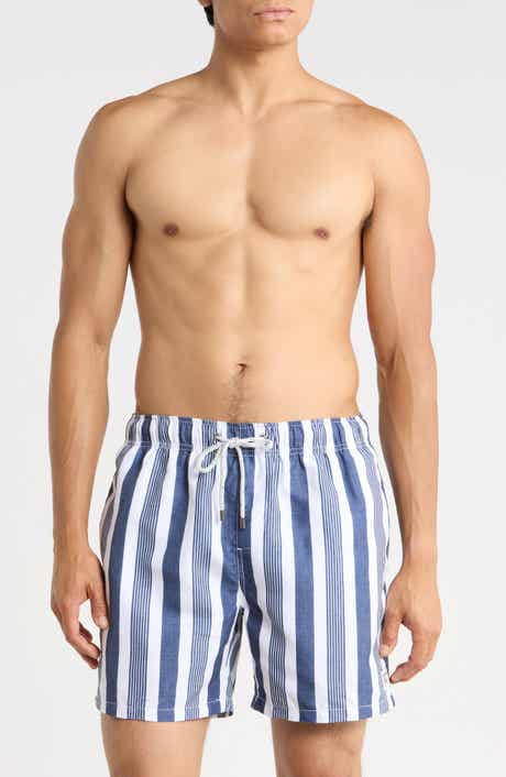 Printed Cabana Stripe Volley Swim Shorts