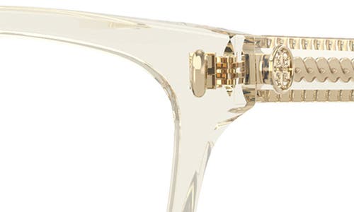 Tory Burch 53mm Square Optical Glasses In Transparent Pinot