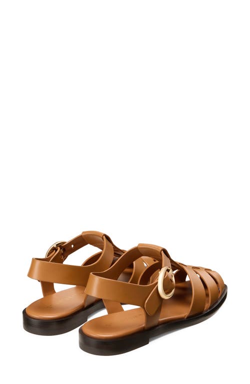 Stuart Weitzman Villa Fisherman Sandal In Brown