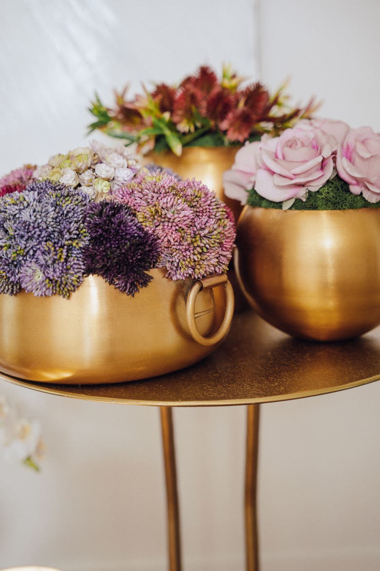 Solene Gold Sedum Arrangement, Alternate, color, Multi-Color