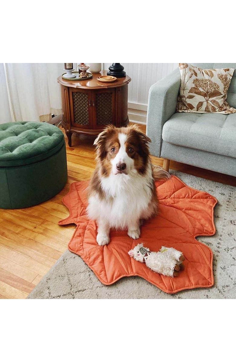 FunnyFuzzy Leaf Shape Pet Blanket, Alternate, color, Maple Red