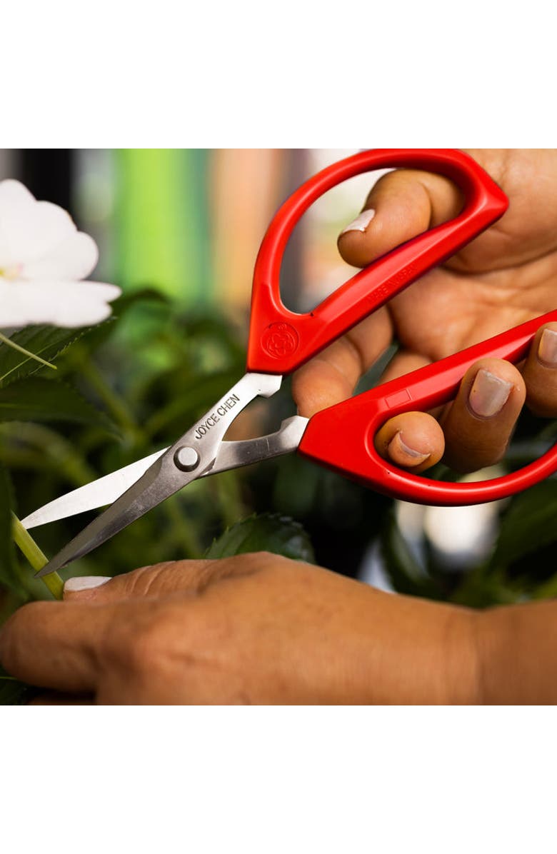JOYCE CHEN Scissor and Cutting Board Set, 2 piece, Alternate, color, Bamboo/Red