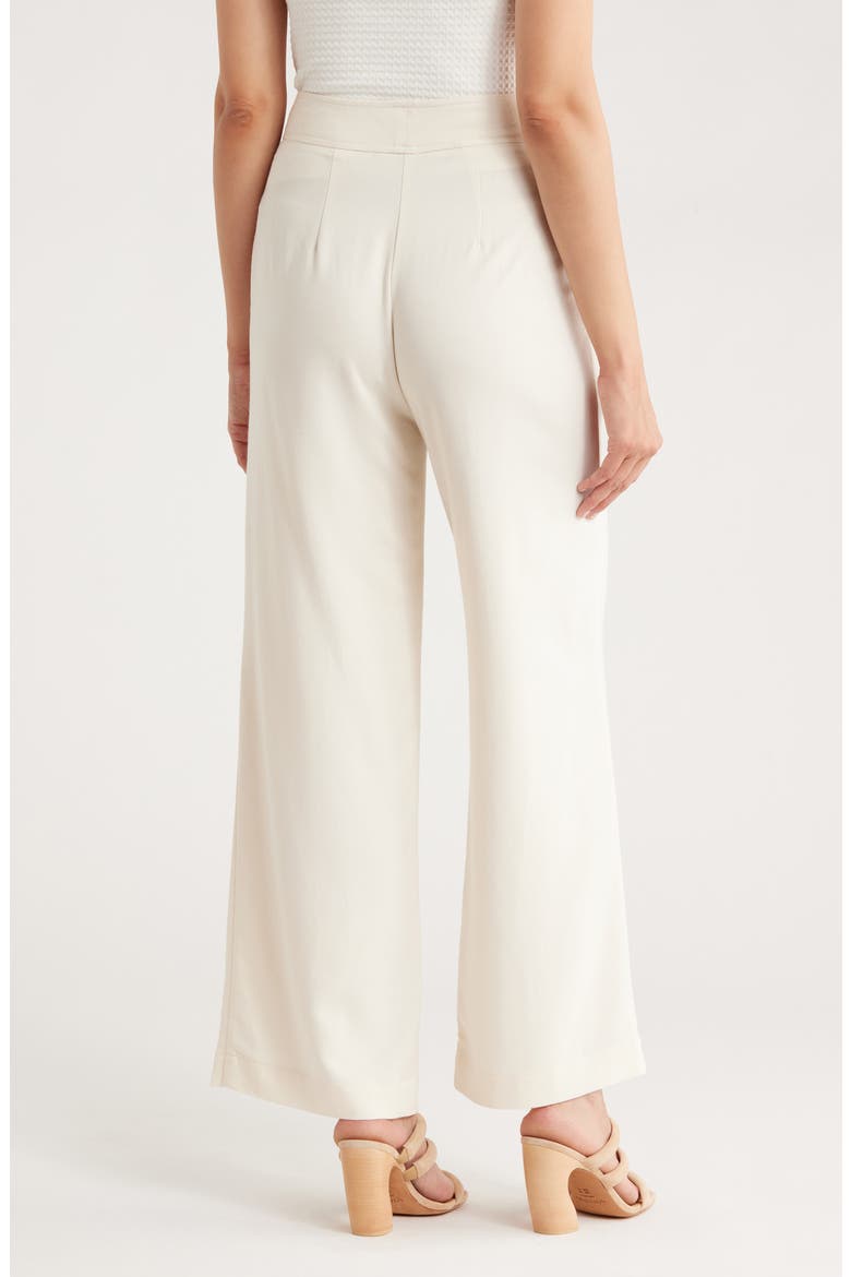 Pleated Front Wide Leg Pants, Alternate, color, PALE TOASTED BEIGE