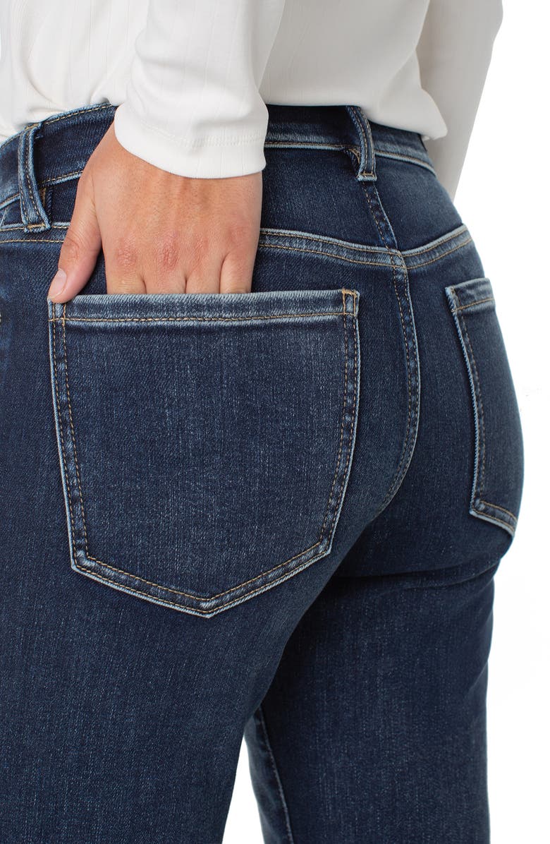 Liverpool Los Angeles Liv Non-Skinny Skinny Jeans, Alternate, color, Wells