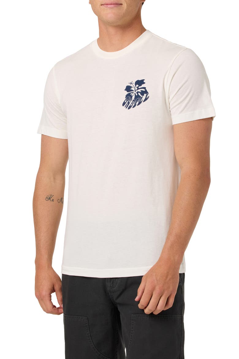 Hibis Classic Cotton Graphic T-Shirt, Main, color, TOFU