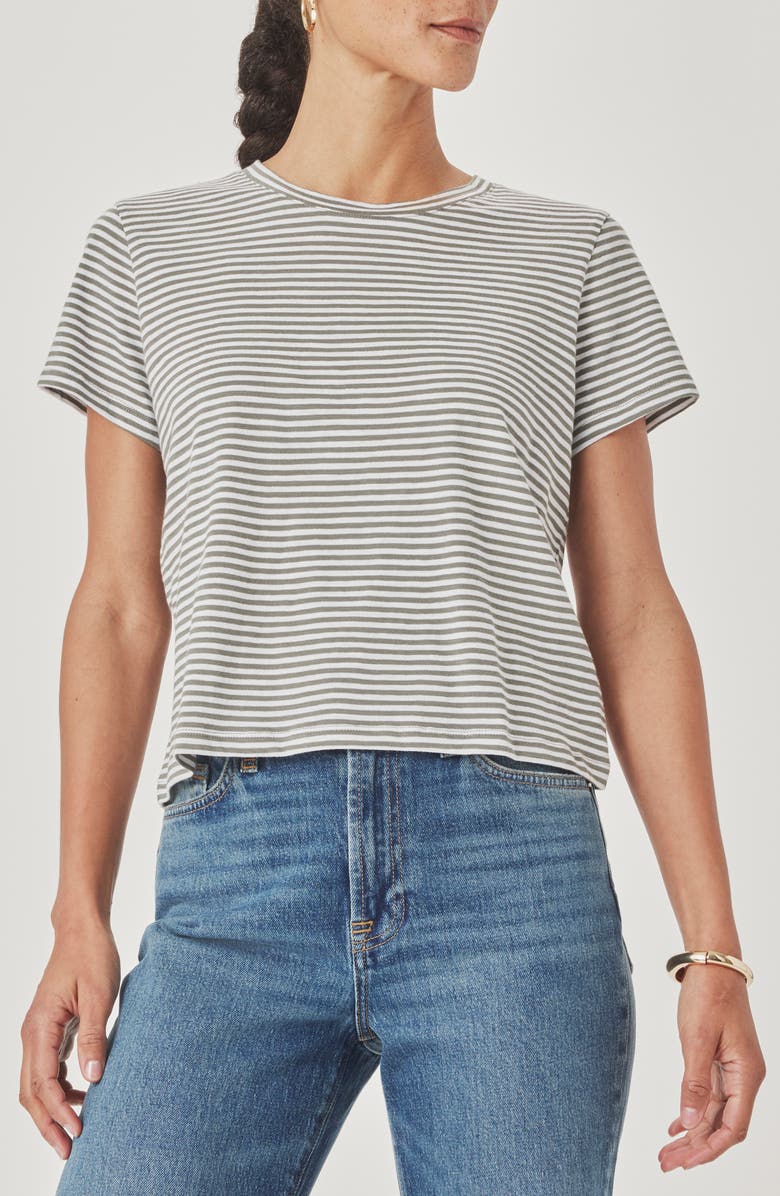 Splendid Louisa Stripe T-Shirt, Main, color, Soft Green/ White