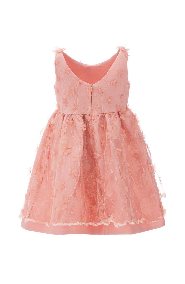 Tulleen Ravine Dress, Alternate, color, Coral