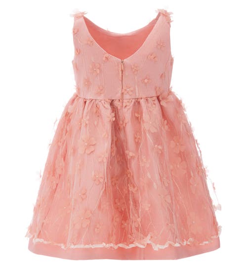 Tulleen Ravine Floral-appliqué Dress In Coral