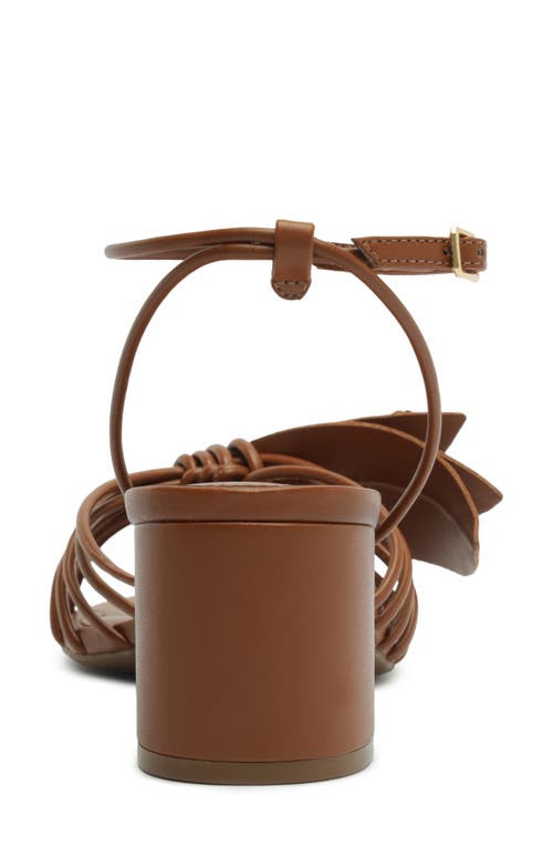 Arezzo Viola Mid Ankle Strap Sandal In Brown