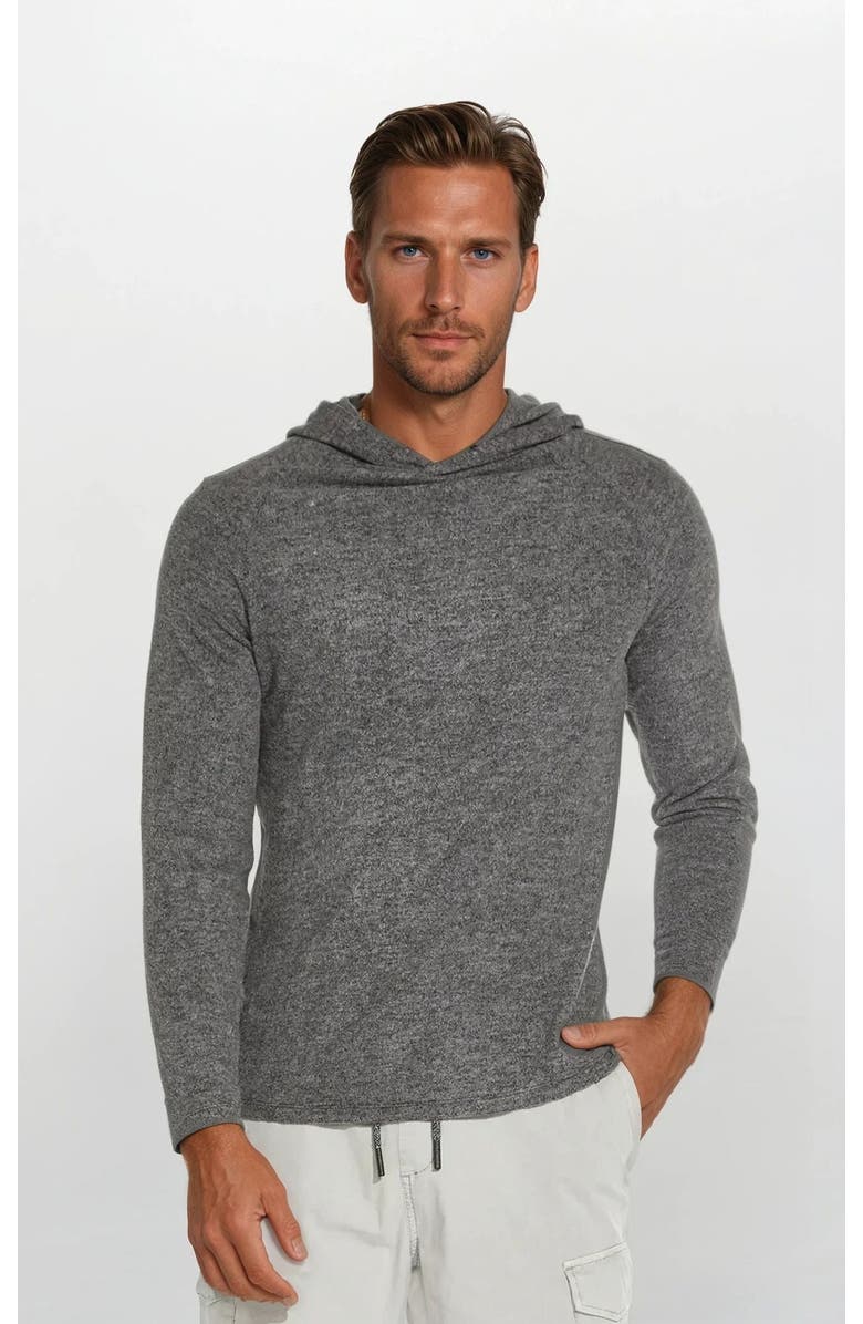 Ledger & Ford Grey Bodega Super Soft Hoodie, Alternate, color, Grey