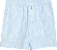 Nordstrom 7-Inch Seersucker Swim Trunks