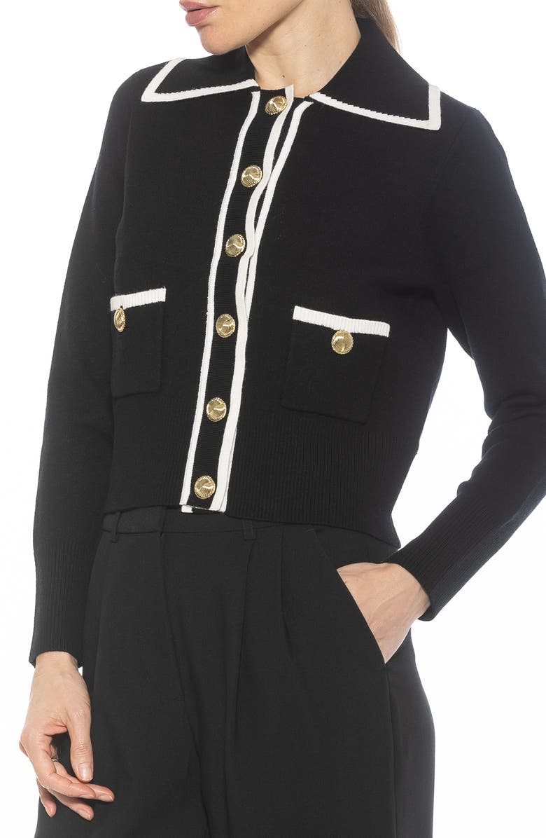 Alexia Admor Mari Tipped Sweater Jacket, Alternate, color, Black