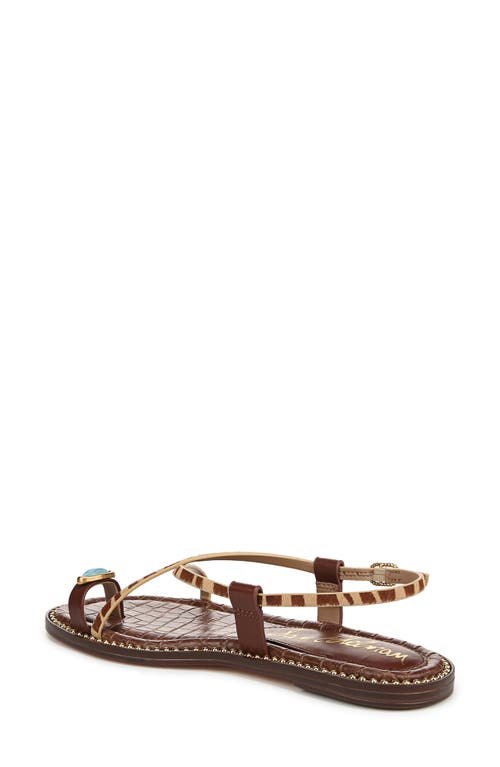 Sam Edelman Tenly Toe Loop Genuine Calf Hair Sandal In Brown