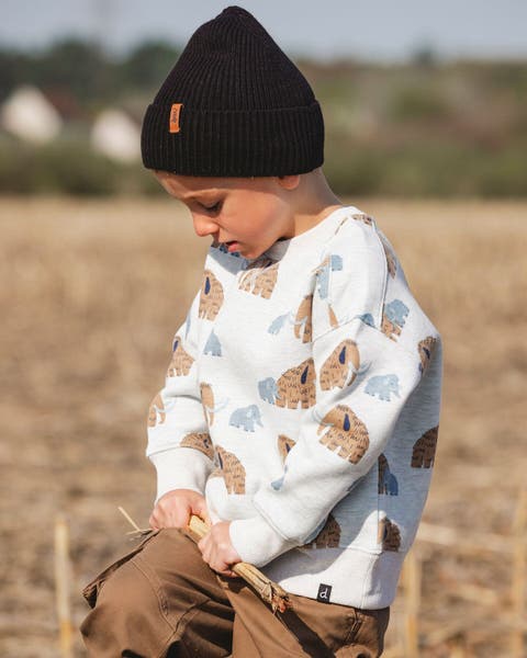 Long Sleeve Crew Neck Fleece Sweatshirt Mammoth (Little Kid & Big Kid)