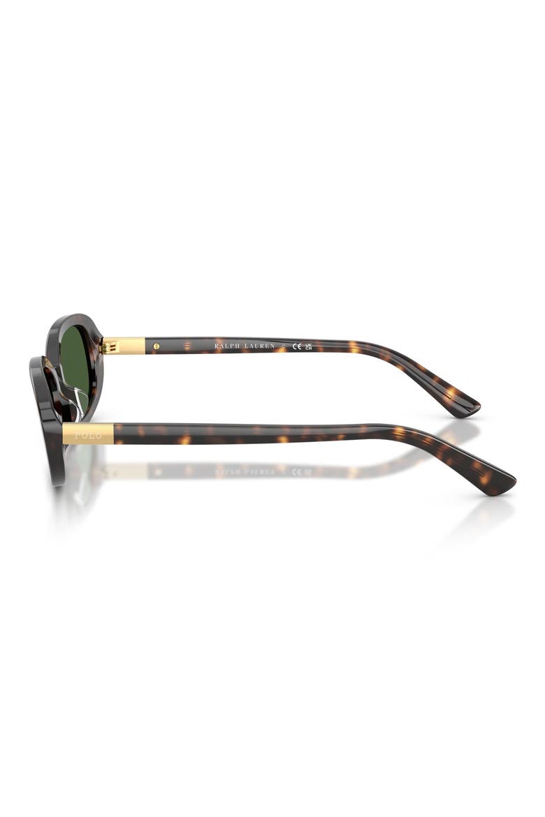 53mm Oval Sunglasses, Alternate, color, SHINY DARK HAVANA / GREEN