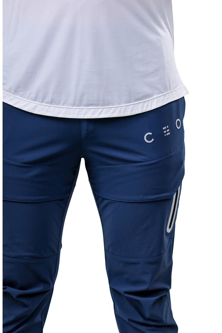 Performance Joggers, Alternate, color, BLUE